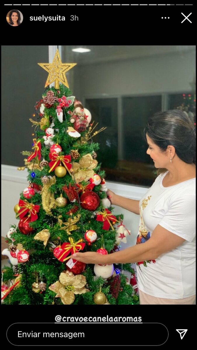 M E De Andressa Suita Mostra Rvore De Natal Que Ela Mesma Montou F